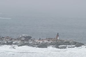 2 Shackleton monument