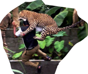 perfectly-timed-pics-moments-disaster-part8-14